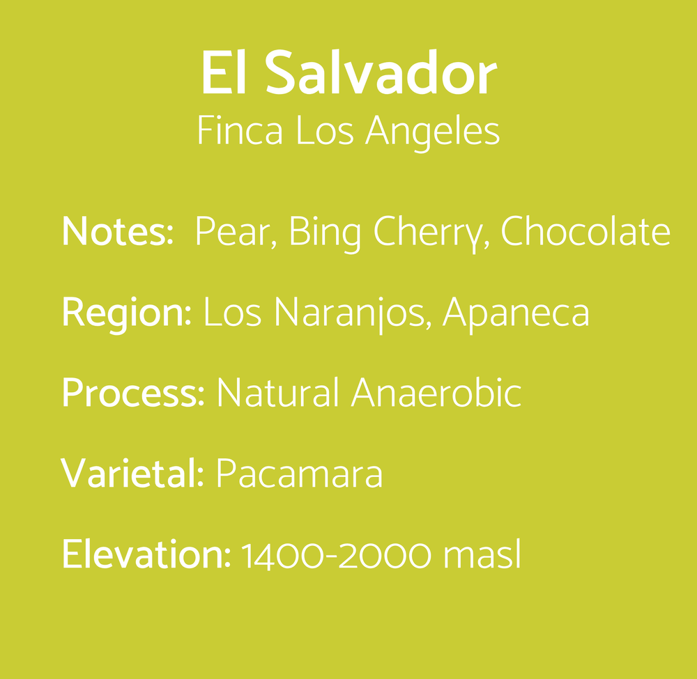 El Salvador - Finca Los Angeles ROOTS — Kenz Coffee Roasters
